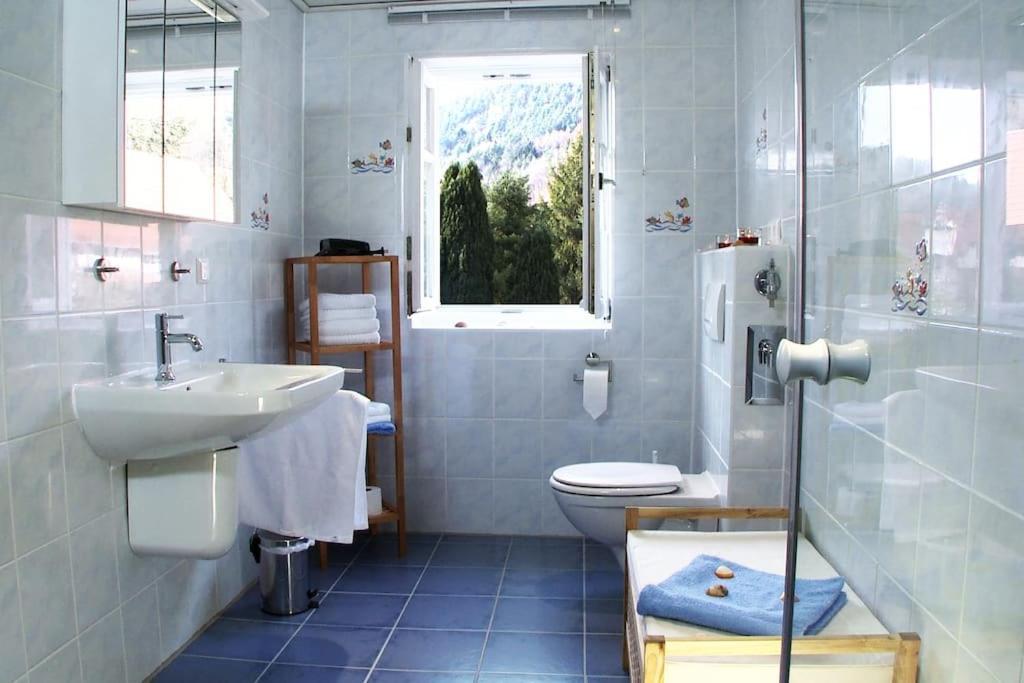 Apartment Alte Huette